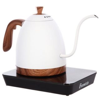 Brewista variable temperature kettle