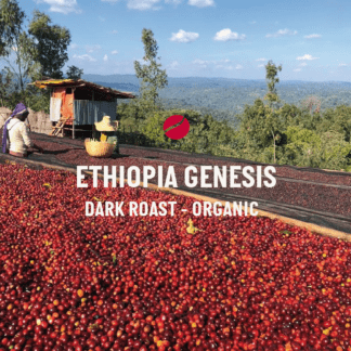 Ethiopia Genesis
